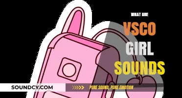 Unveiling the Trendy VSCO Girl Sounds: A Complete Guide