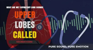 Understanding Wet Expiratory Lung Sounds in the Upper Lobes