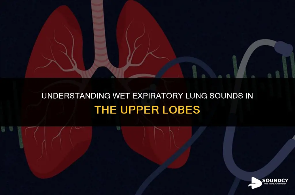 what are wet expiratory lung sounds upper lobes called