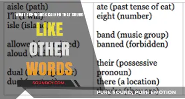 Echoes in Language: Exploring the World of Homophones