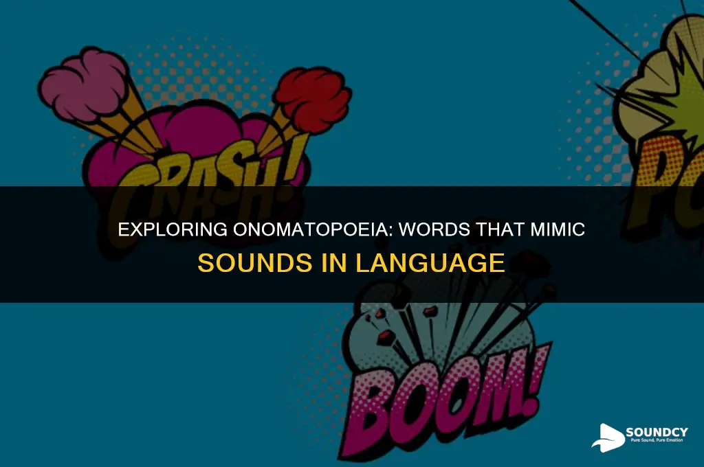 what are words that sound like the noise called