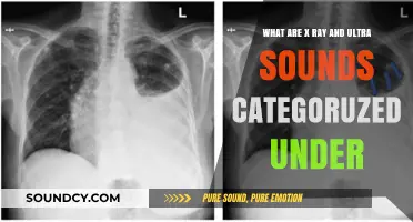 Exploring the World of Medical Imaging: X-Rays and Ultrasounds