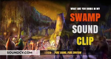 Exploring the Origins of the Iconic 'What Are You Doing in My Swamp' Sound Clip