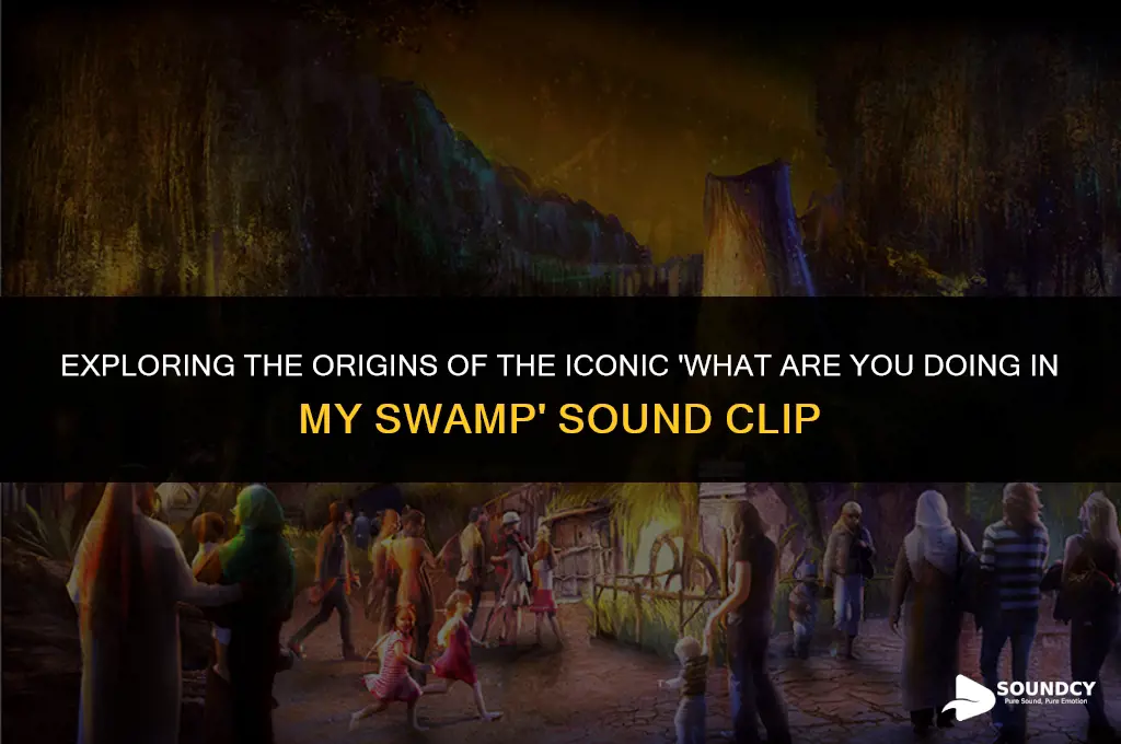 what are you doing in my swamp sound clip