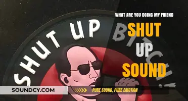 Deciphering the Meaning Behind 'Shut Up' Sounds in Friendship
