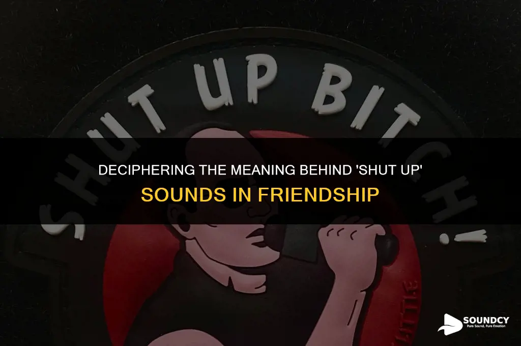what are you doing my friend shut up sound