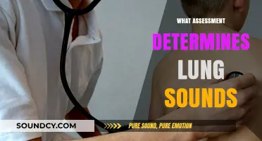 Understanding Lung Health: Key Assessment for Identifying Lung Sounds