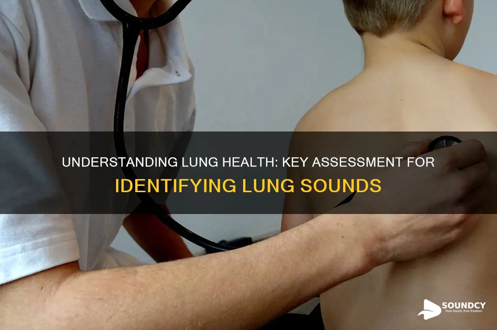 what assessment determines lung sounds