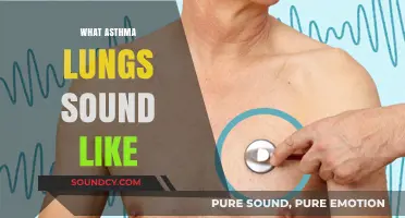 Listening to Asthma: Understanding the Unique Sounds of Asthmatic Lungs