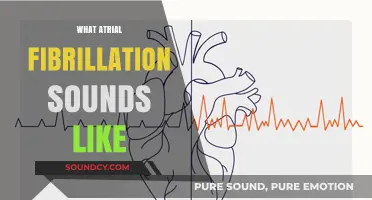 Listening to AFib: Unraveling the Irregular Heart Rhythms of Atrial Fibrillation