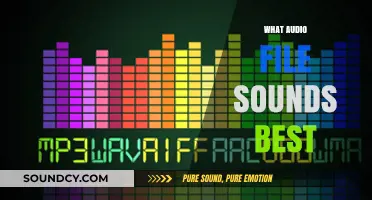 Discover the Ultimate Audio File Format for Superior Sound Quality