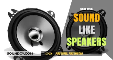 How Speakers Transform Audio: Understanding Sound Quality and Speaker Performance