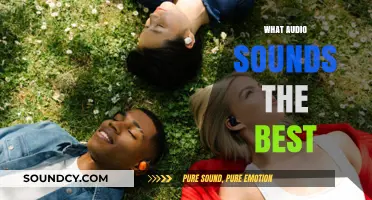 Discovering the Ultimate Audio Experience: What Sounds Best and Why