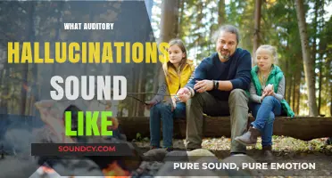 Unveiling the Eerie Soundscape: What Auditory Hallucinations Truly Sound Like