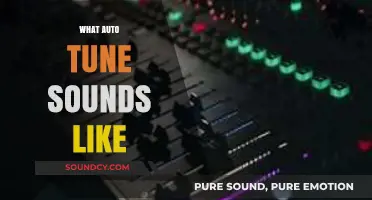 Unveiling the Unique, Robotic, and Melodic Sound of Auto-Tune