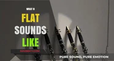 Exploring the Rich, Warm, and Versatile Sound of B Flat