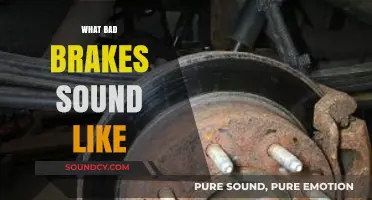 Squeaks, Grinds, and Groans: Decoding the Sounds of Failing Brakes