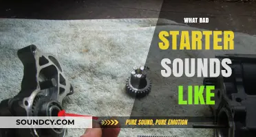Identifying Poor Starter Motor Noises: What Bad Starter Sounds Like