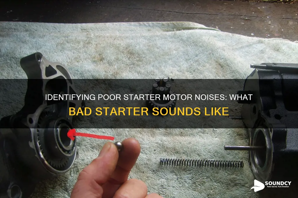what bad starter sounds like