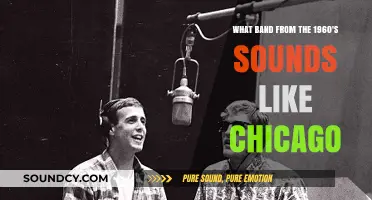 Echoes of Chicago: 1960s Bands with a Similar Vibe