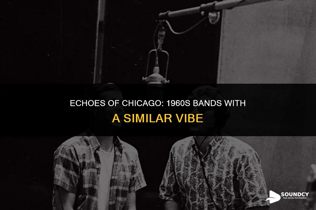 what band from the 1960
