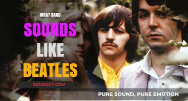 Discover Bands That Capture the Timeless Sound of The Beatles