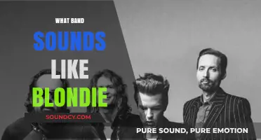 Discover Bands Similar to Blondie: New Wave and Pop Rock Alternatives