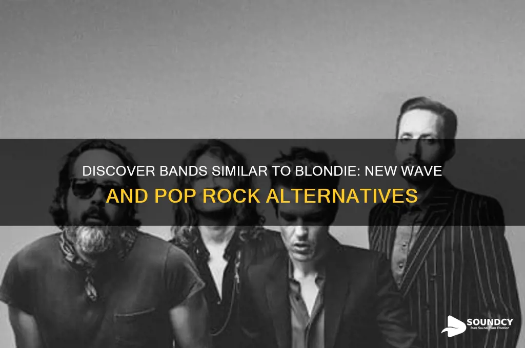 what band sounds like blondie