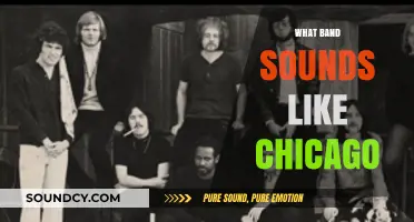 Discover Bands That Capture Chicago's Signature Jazz-Rock Fusion Sound