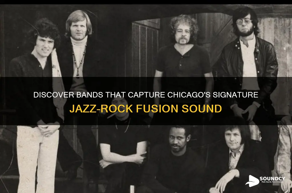 what band sounds like chicago