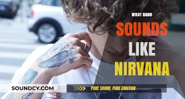 Discover Bands That Capture Nirvana's Grunge Sound and Raw Energy