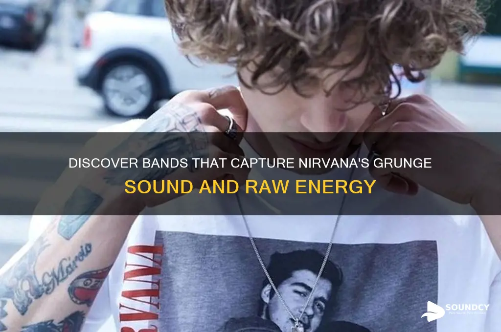 what band sounds like nirvana