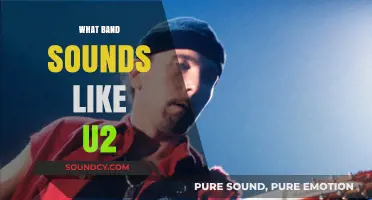 Discover Bands That Capture U2's Iconic Sound and Spirit