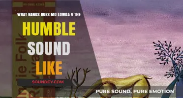 Exploring Sonic Cousins: Bands That Echo Mo Lowda & The Humble's Vibe
