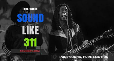 Discover Bands Blending Reggae, Rock, and Funk Like 311
