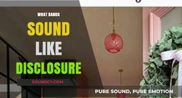 Discovering Disclosure's Sound-Alikes: Bands Blending House and Pop Vibes