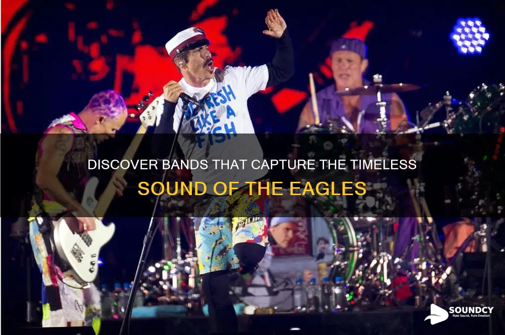 what bands sound like eagles