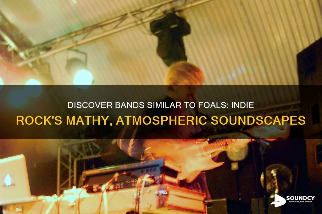what bands sound like foals