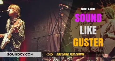 Discover Bands Similar to Guster: Melodic Indie Vibes You'll Love