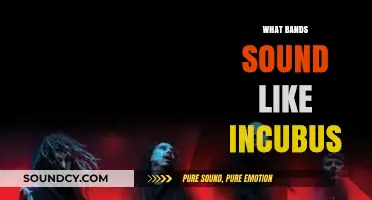 Discover Bands Similar to Incubus: Alternative Rock Sound-Alikes