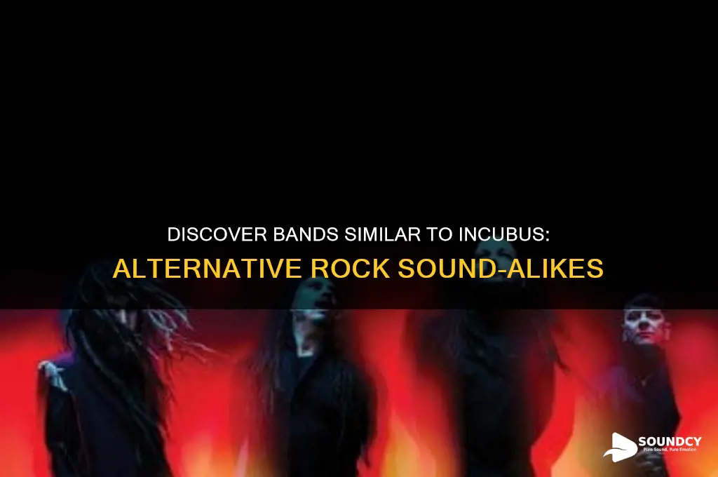 what bands sound like incubus