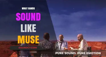 Unveiling Muse-Like Bands: Discovering Similar Sounds and Styles