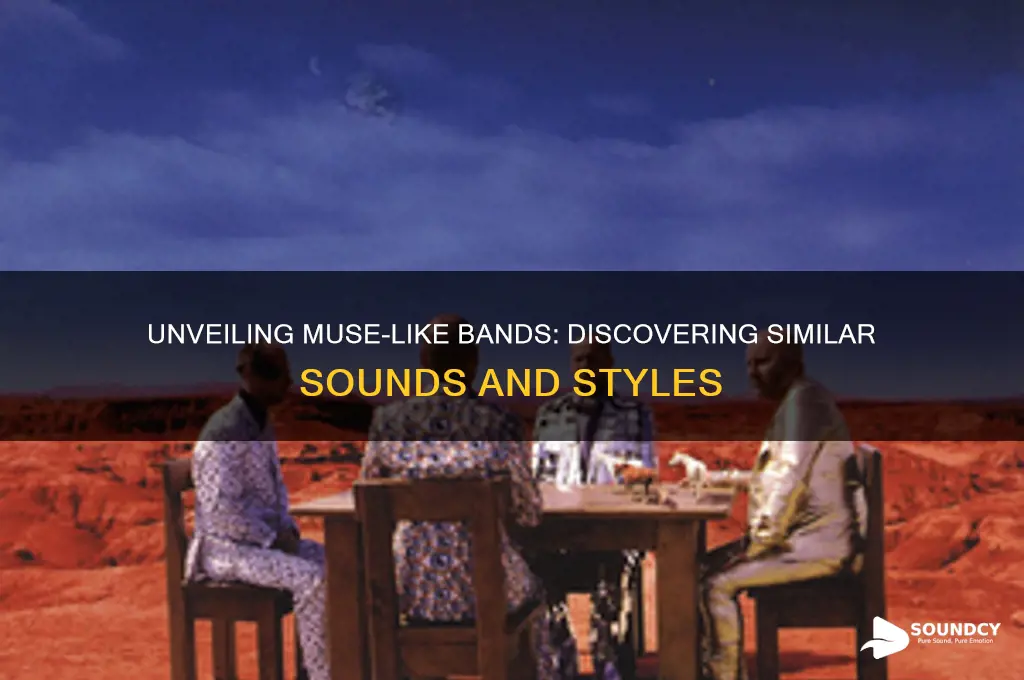 what bands sound like muse