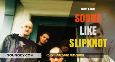 Bands That Match Slipknot's Intense Nu-Metal Sound and Energy