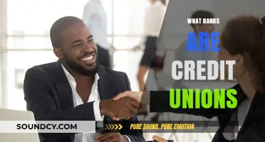 Credit Unions vs. Banks: Understanding the Key Differences and Benefits