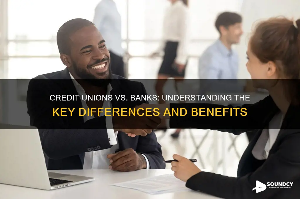 what banks are credit unions