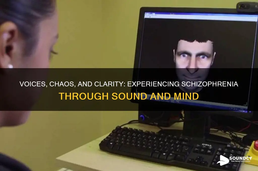what being schizophrenia sounds like