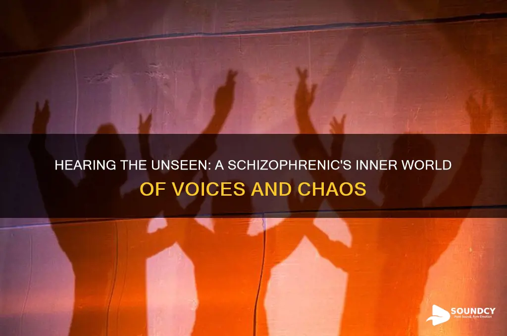 what being schizophrenic sounds like
