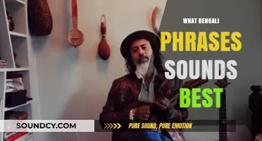 Melodic Bengali Phrases: Discovering the Most Beautiful Sounds in the Language