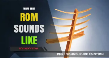 Exploring the Unique, Twangy Resonance of Bent ROM Sounds